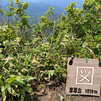 これは誰かが勝手に置いた物らしい…
管理されてる方達が、設置した訳ではない、と話してました