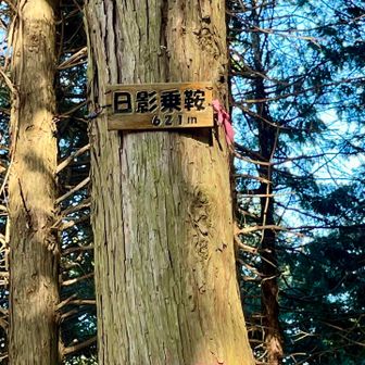 裏高尾の破線ルートで日影乗鞍へ。
スライドしたのは日曜なのに3名ほど。
静かで最高の道だった。