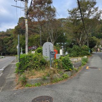 ここでバス通りから外れる