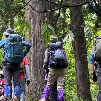 御神域ですね

一礼してしめ縄の代わりの笹の葉くぐり
