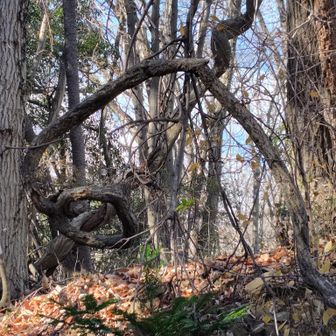 芸術的✨️クルクルクル〜