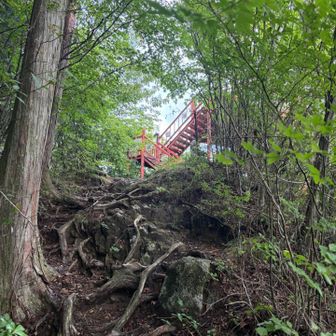 山頂展望台
見えてきました