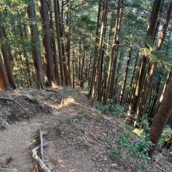 高度落とします。