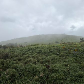 待ってればまた晴れてきそうな気もしないけど
とりあえず下山へ。