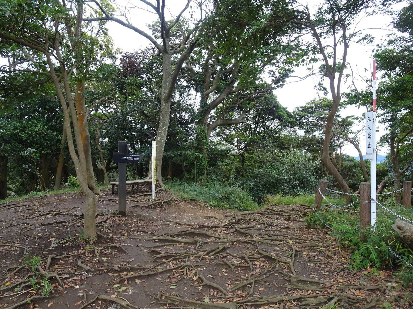 勝上山の写真