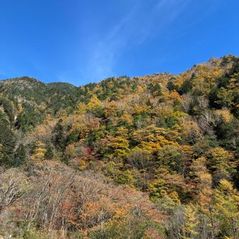 まだ、下は紅葉してるね