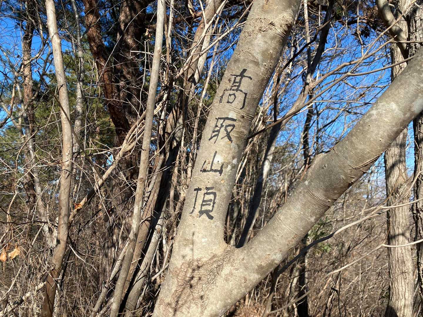 山名板は無く、木に高取山山頂と書いてありました⛰️