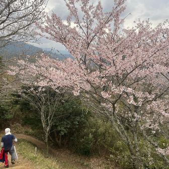見納めて下山します😊