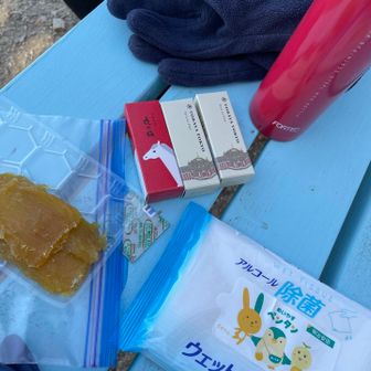 とらや🐯ようかん東京駅限定^ ^。干し芋うまし