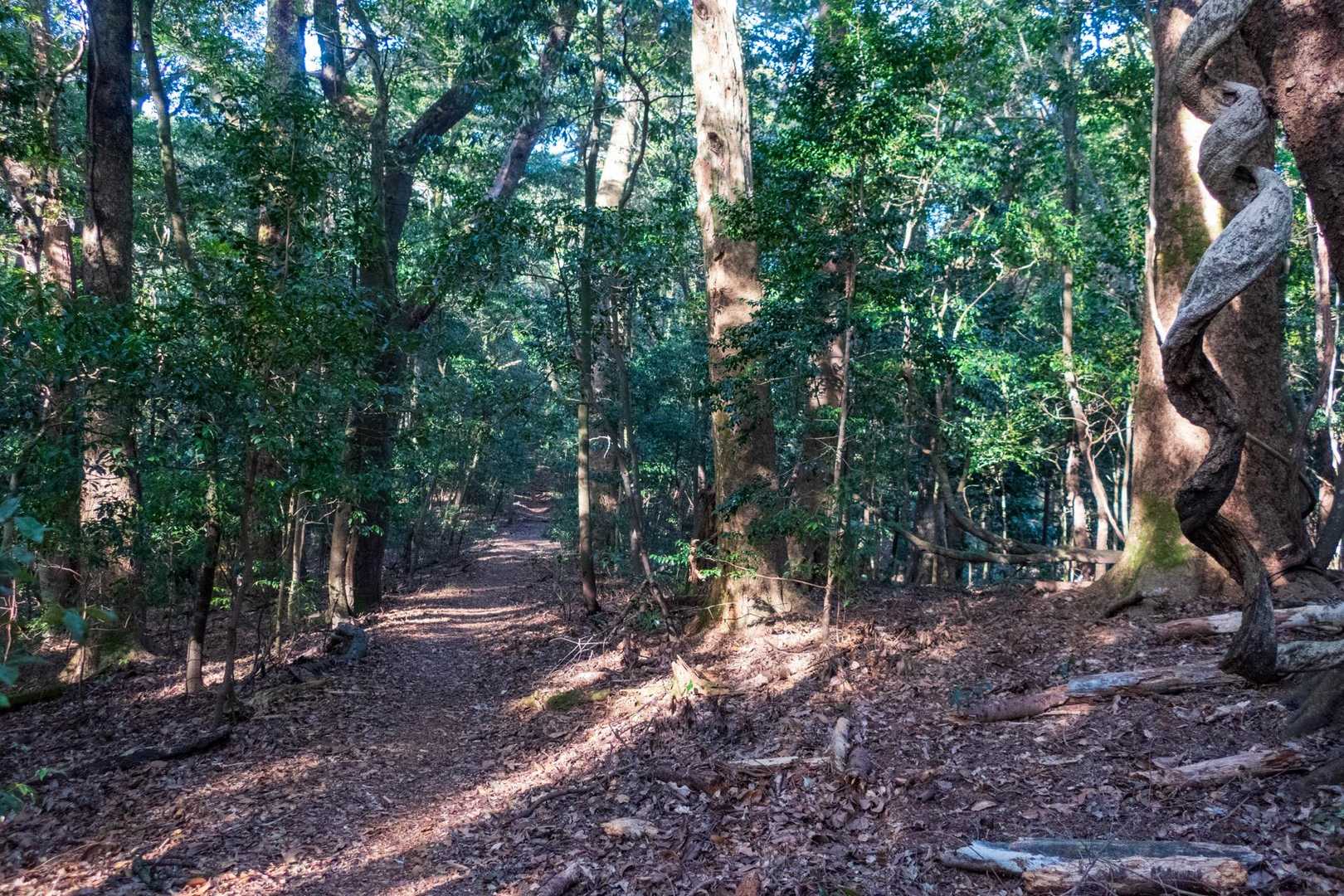 バカはやめて先に進みます😆

でもあのヤラセ(笑)は昨夜から考えてたんです🤣