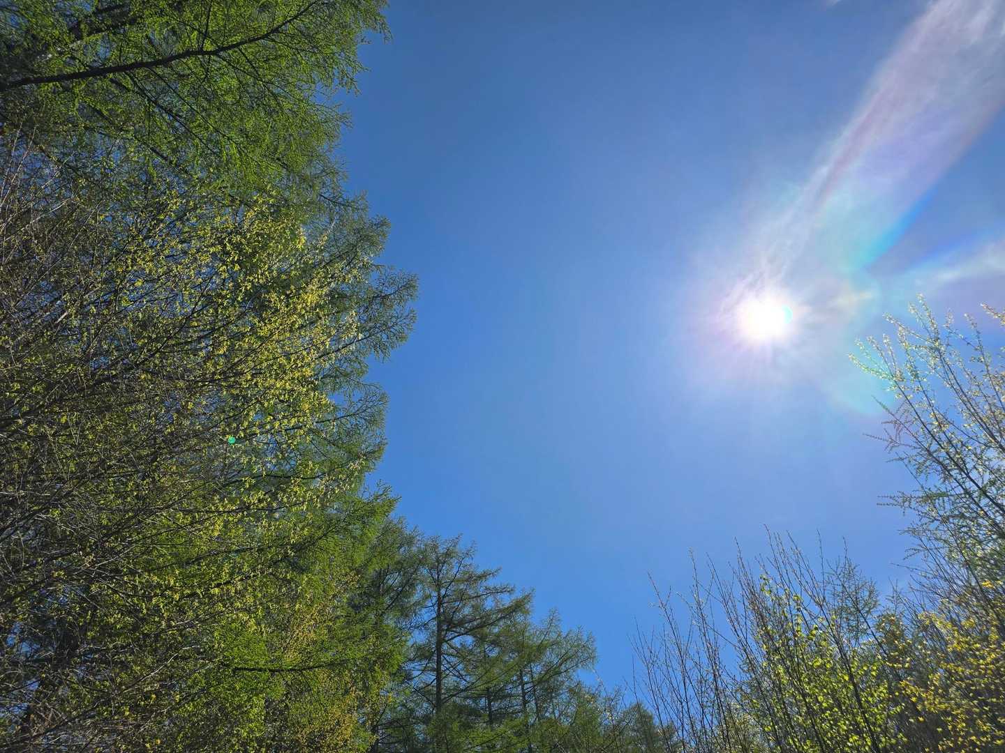 今日は快晴☀️だ😁