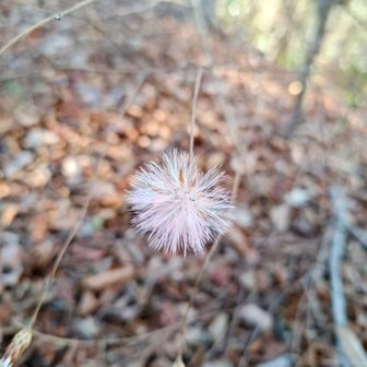 ピンクで可愛い♡