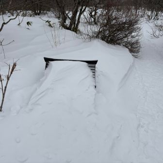 祠は埋もれてます