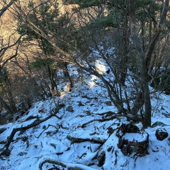 慎重に下りました