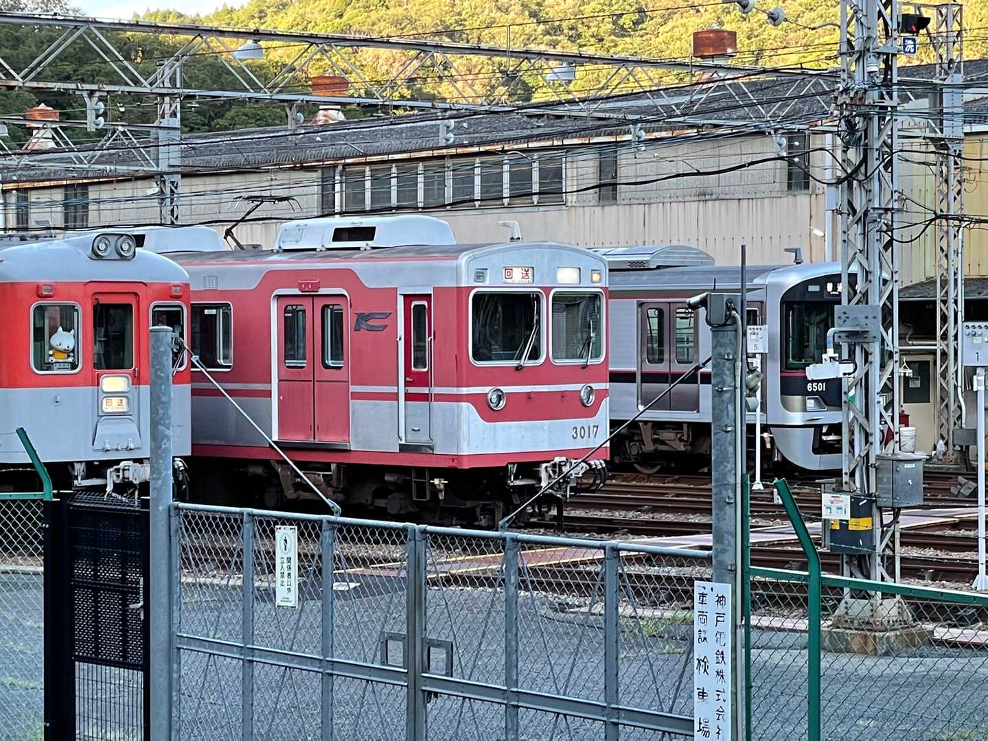 6501まだ居てるやん😅