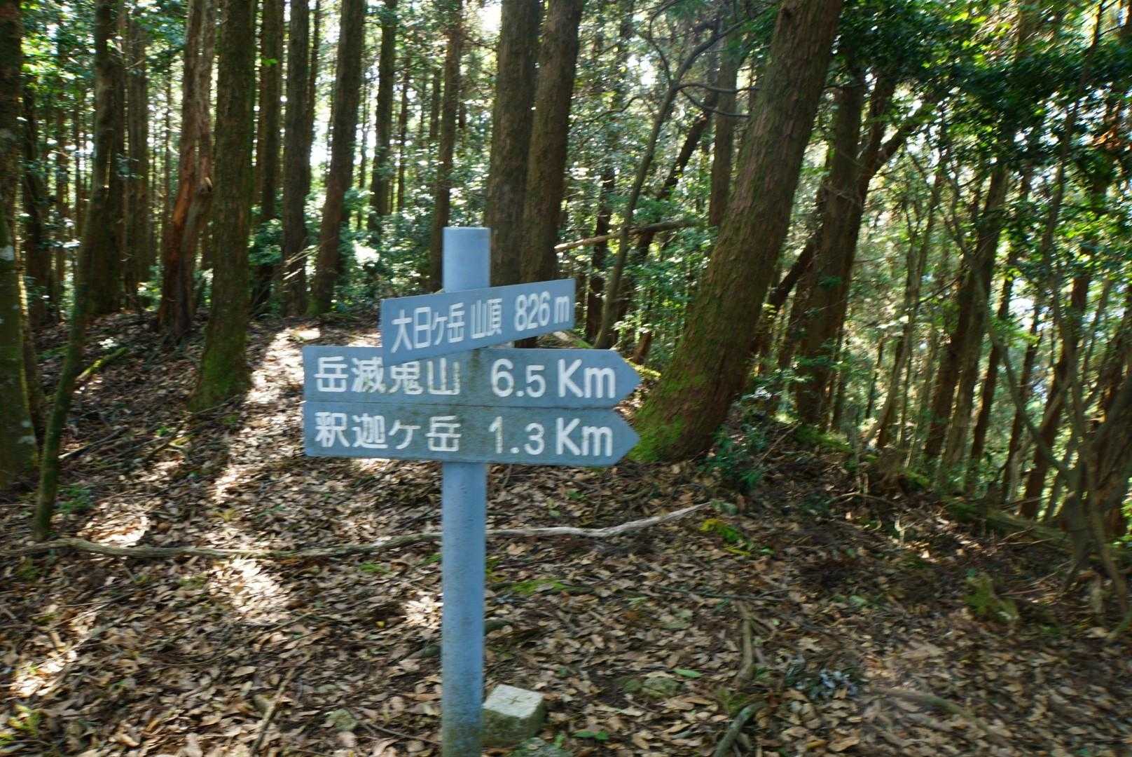 斫石峠-大日ヶ岳-釈迦ヶ岳 周回コースの写真