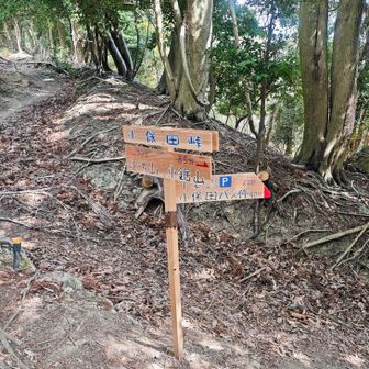 本日、スライド10人以上。
想像よりも、多くの人が入っている人気の山？でした。😆