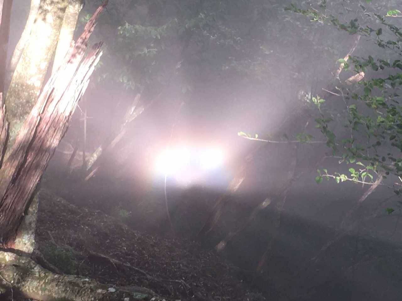 東傾山-傾山 往復コースの写真