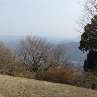 白猪山二ノ峰です。