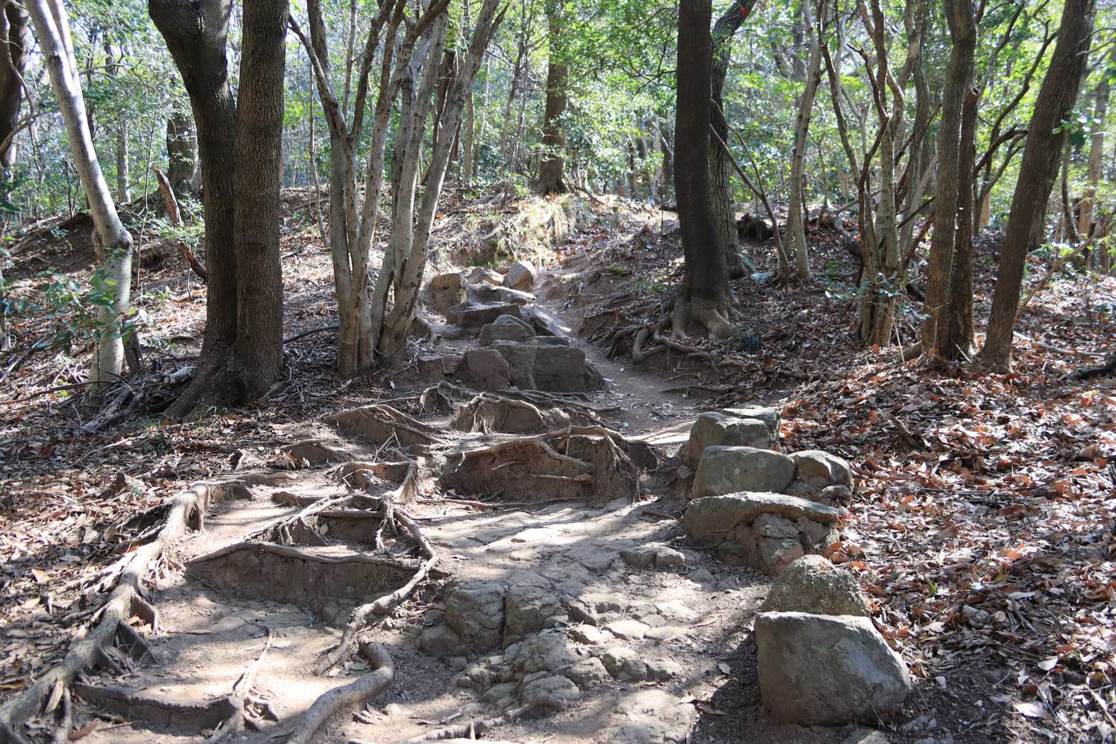 良き道😆。
ここまでくると山好き越えて変態だね😓