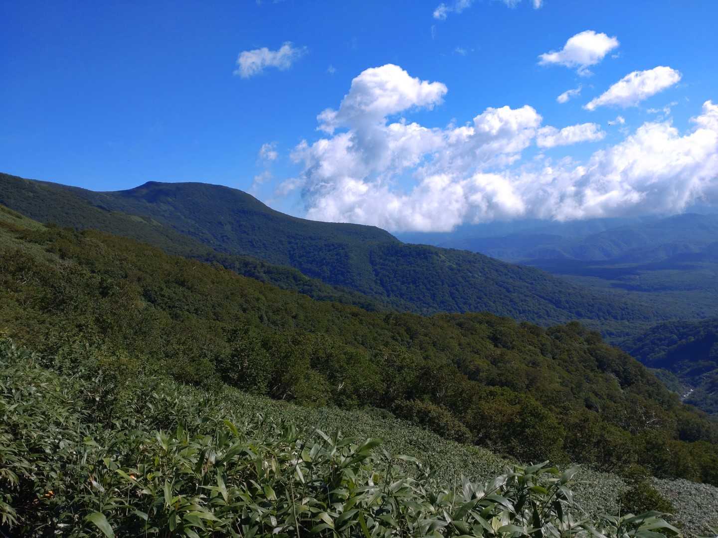 4合目過ぎてから景色が開けました
東狩場山が見えましたが冬専用みたいです

帰りに強者達が東狩場方面を草刈りしてる雰囲気が・・・