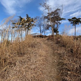 山頂はすぐそこ🤗雪はほとんどありませんでした。