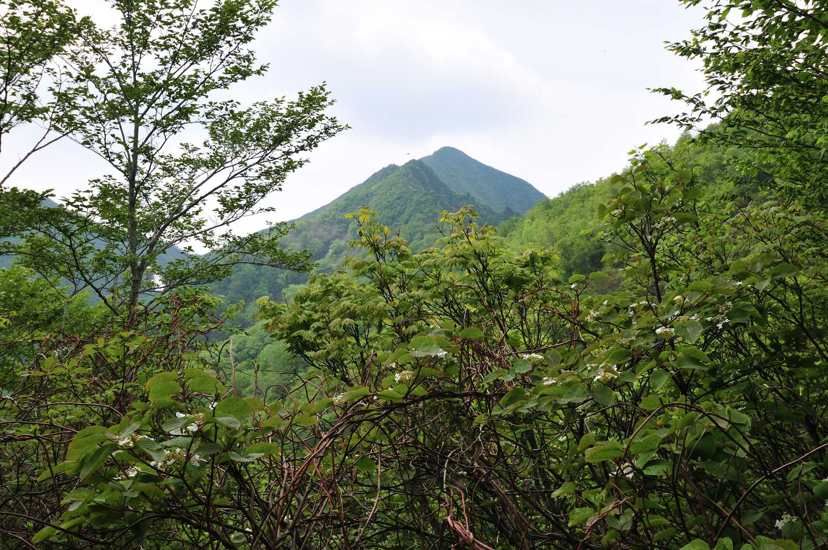 視界が開け、雁戸山の頂上が見え、テンションUP⤴️