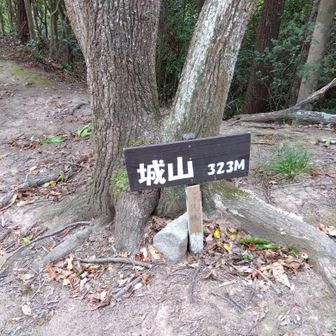 瀧山城跡
