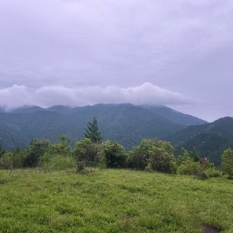 雨が降っています☔️