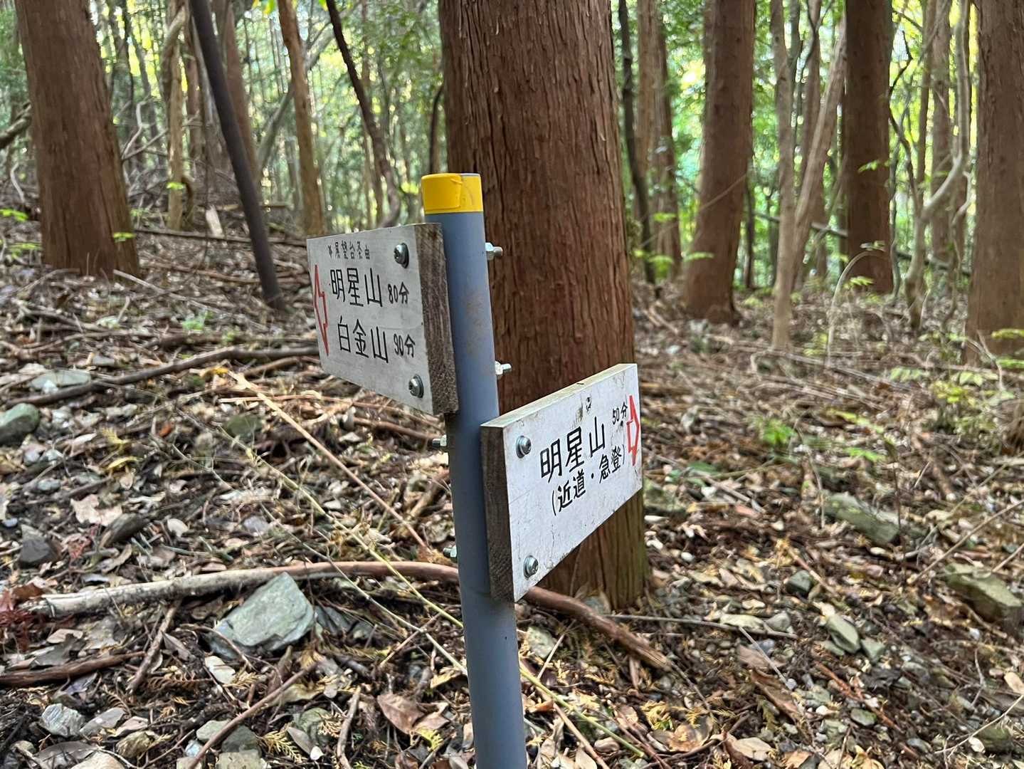 右側選択❗️
近道は急登って予告していただいてますね🌿
お手柔らかにお願いします💧
