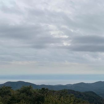 海