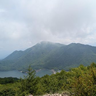 晴れた