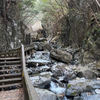 よく整備されてます