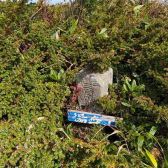 あれ？ココが本当の山頂？？