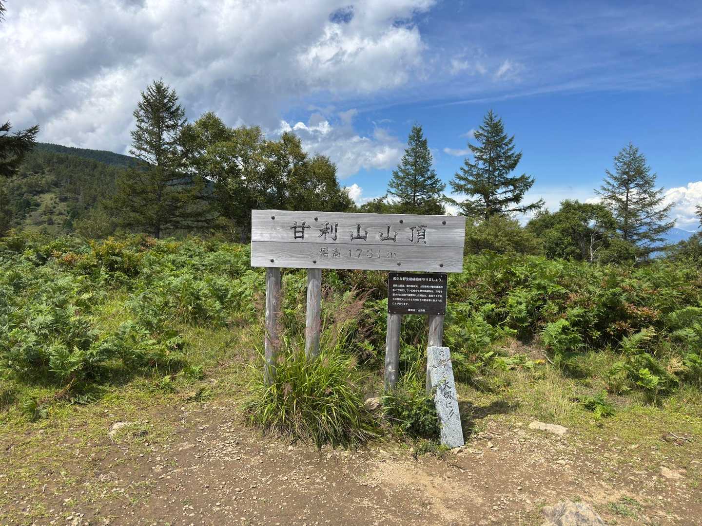 甘利山は日当たりがいいけど、標高が高いせいか涼しいです