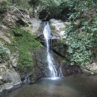この神社の御神体である大滝。