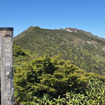 割と歩いた