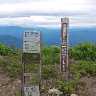 野須張山頂に到着
