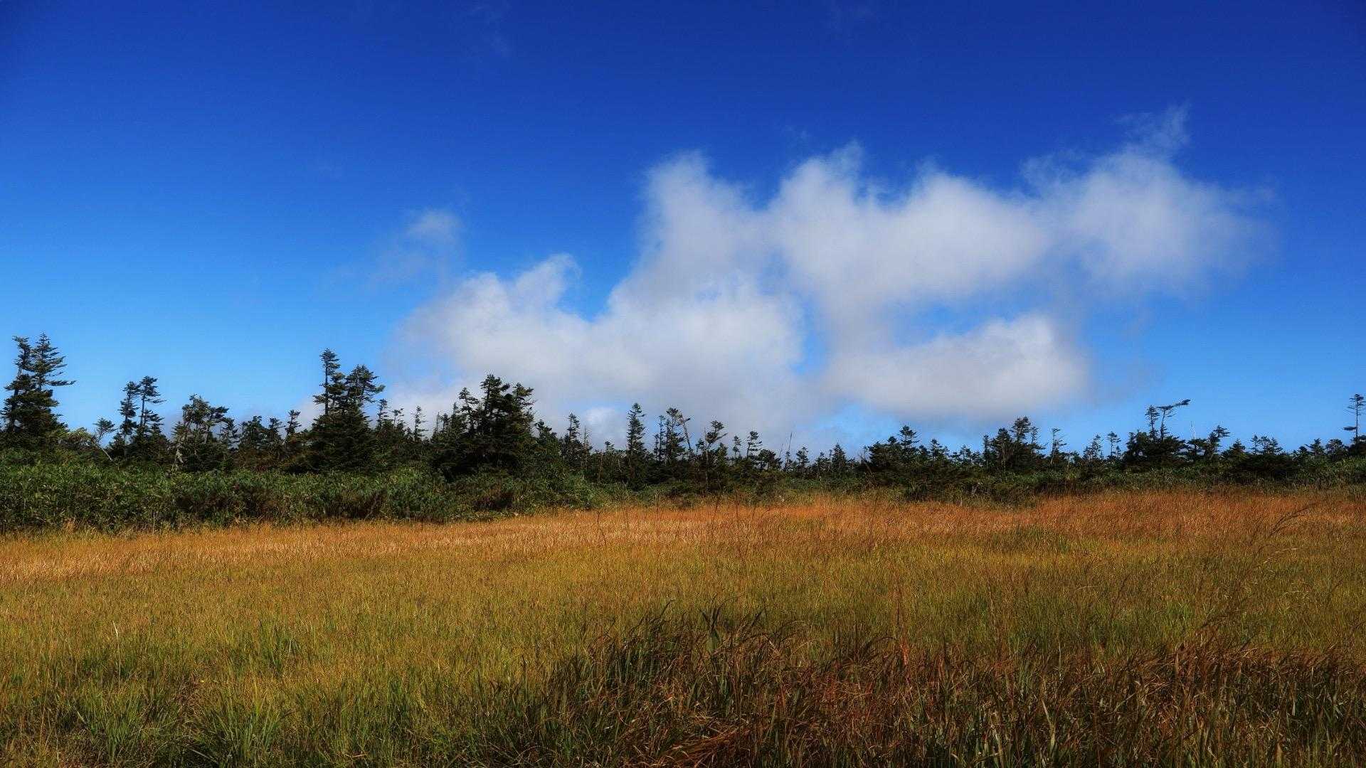 登山日和。風なし。