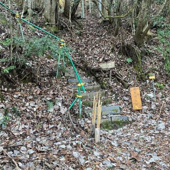 ちょっと行ったら登山口