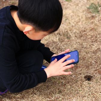 穴の中に虫がいたのでGoogleで検索🪲