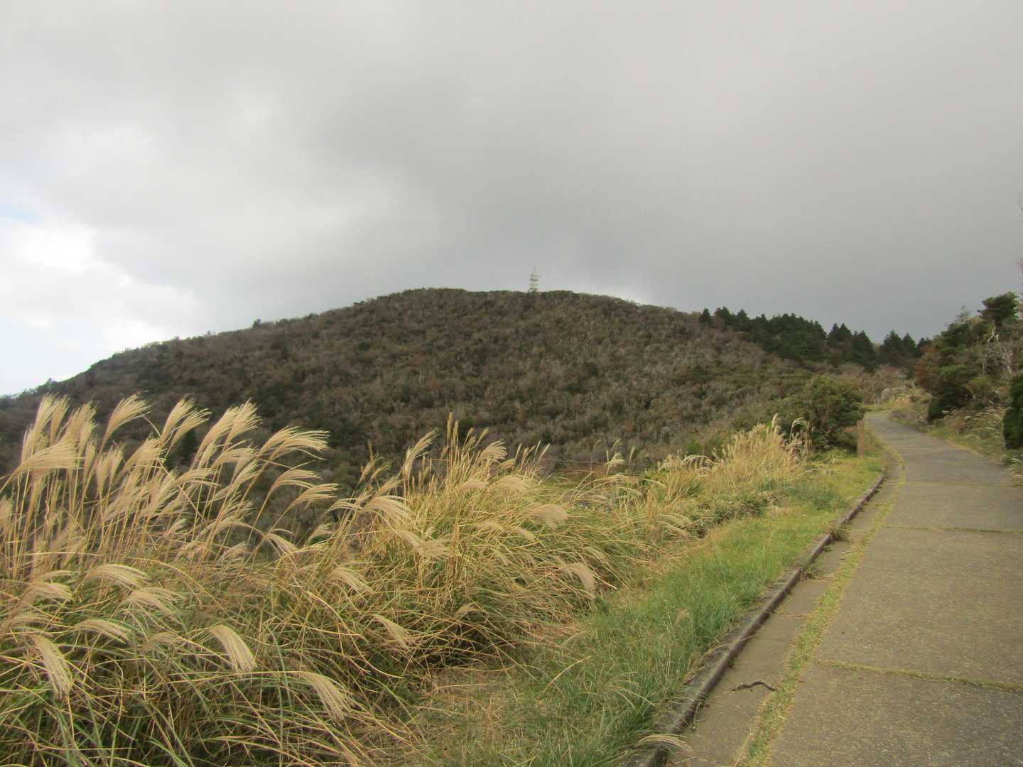 遊歩道を少し歩くと山頂が見えました
