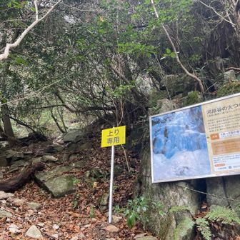 氷瀑の時期には大渋滞する大つららまえの看板今は登りも下りもガラガラで一方通行も気にせず進めます
というか、縦走路に出るまで誰にも会いませんでした
