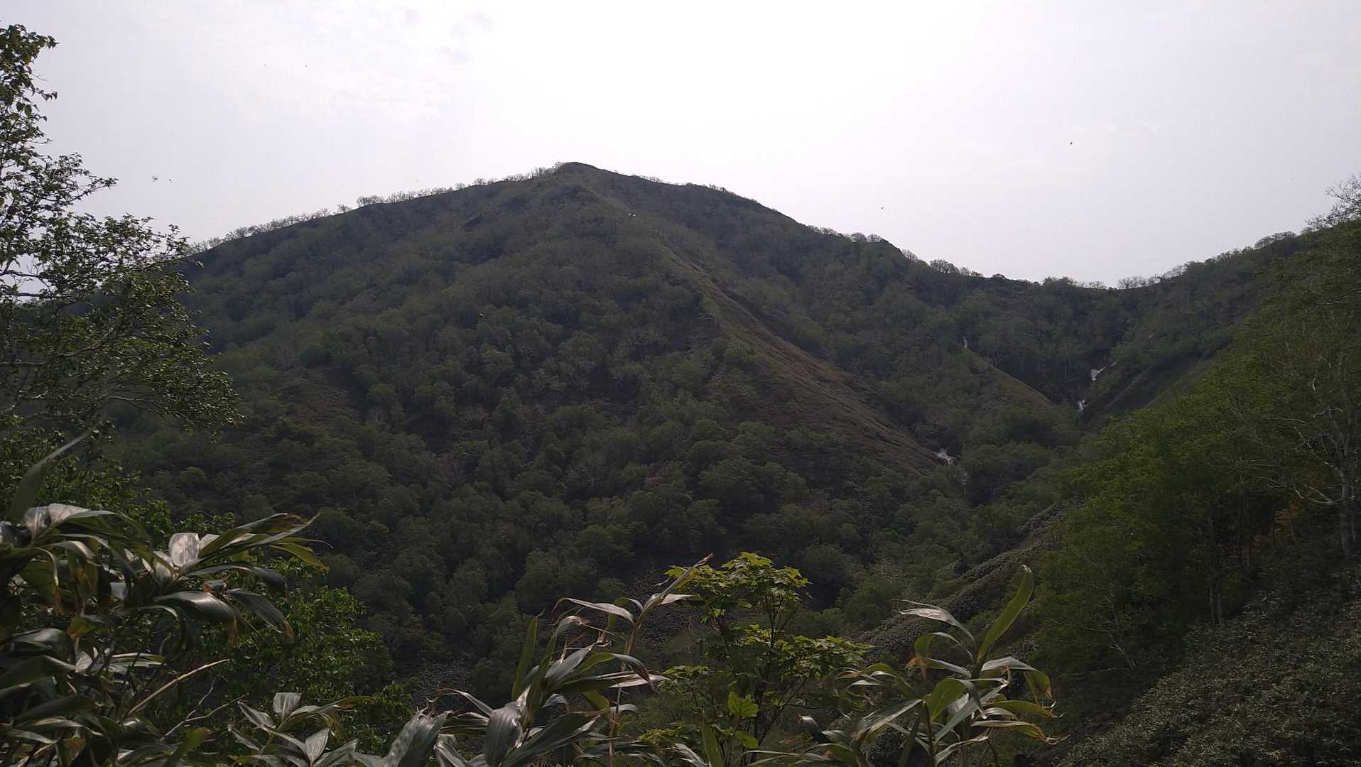 山頂かな？
稜線歩きを楽しみに頑張りますよ