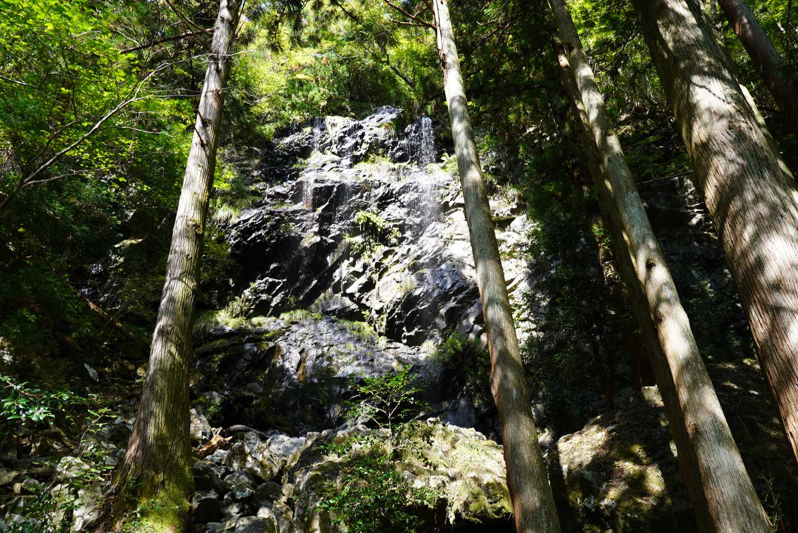 龍頭山バス停-龍頭山-掛札バス停 縦走コースの写真