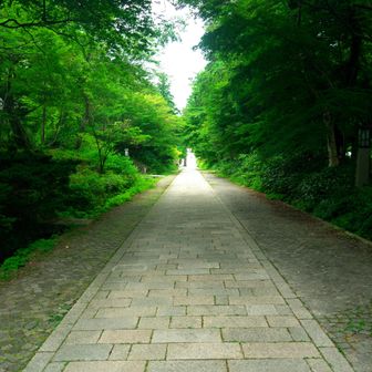 戻って来ました。
参道も殆ど無人。