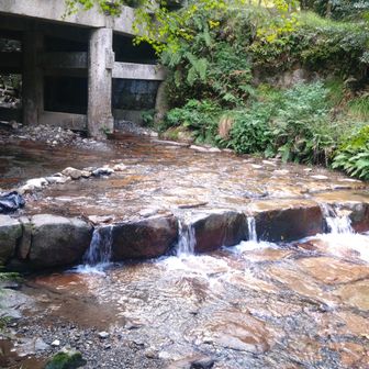 10月下旬ですが、最後に水浴び