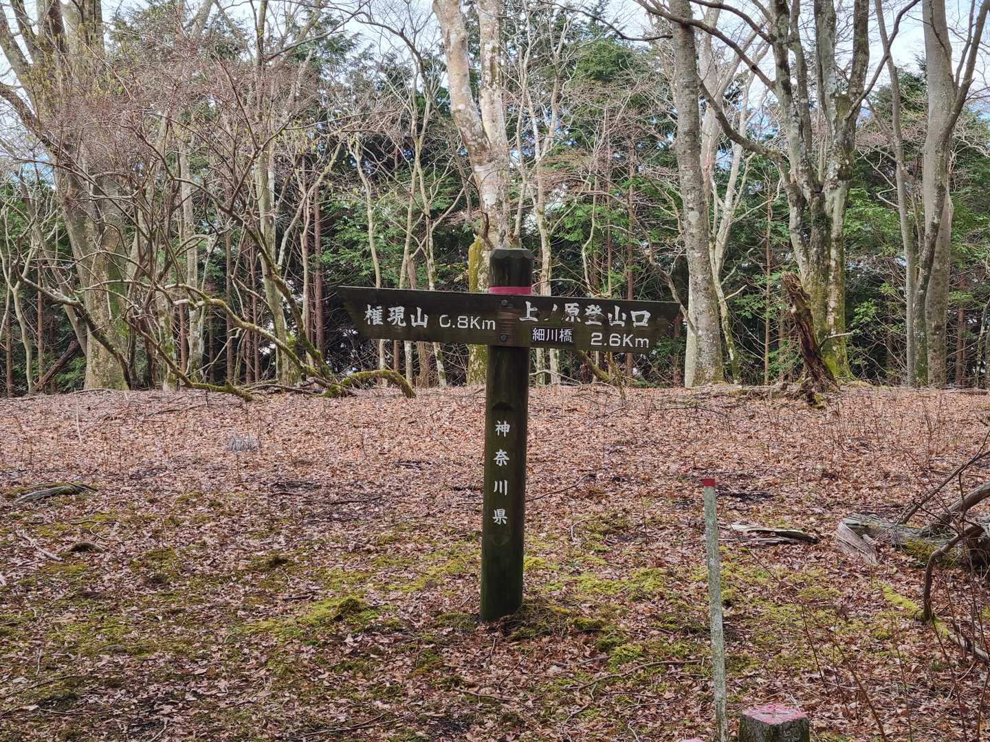 途中、茅ヶ丸のピーク通過
特に表示なし