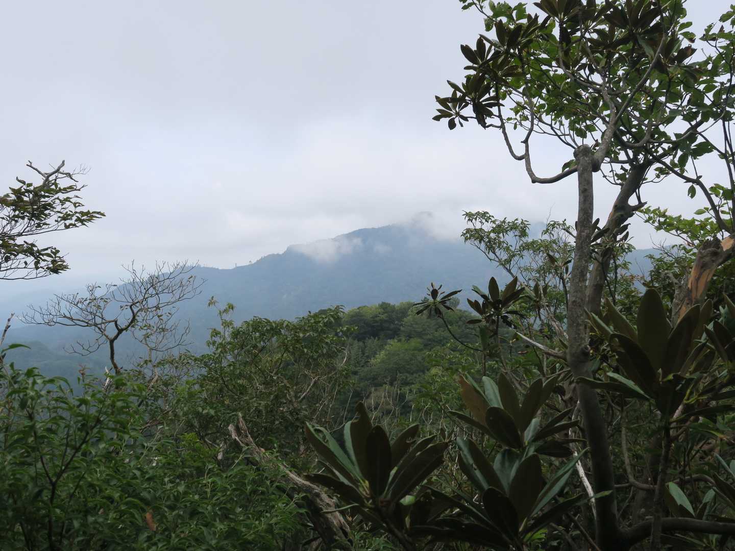 英彦山方向