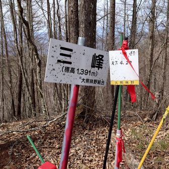 三つ峰　１３９１ｍ
三等三角点「三ツ峯」
これで北ア・中央ア・八ヶ岳・奥秩父山塊と伊那山地が繋がりました✌️あとは南アをどう繋げるか🤔